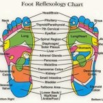Foot Reflexology chart